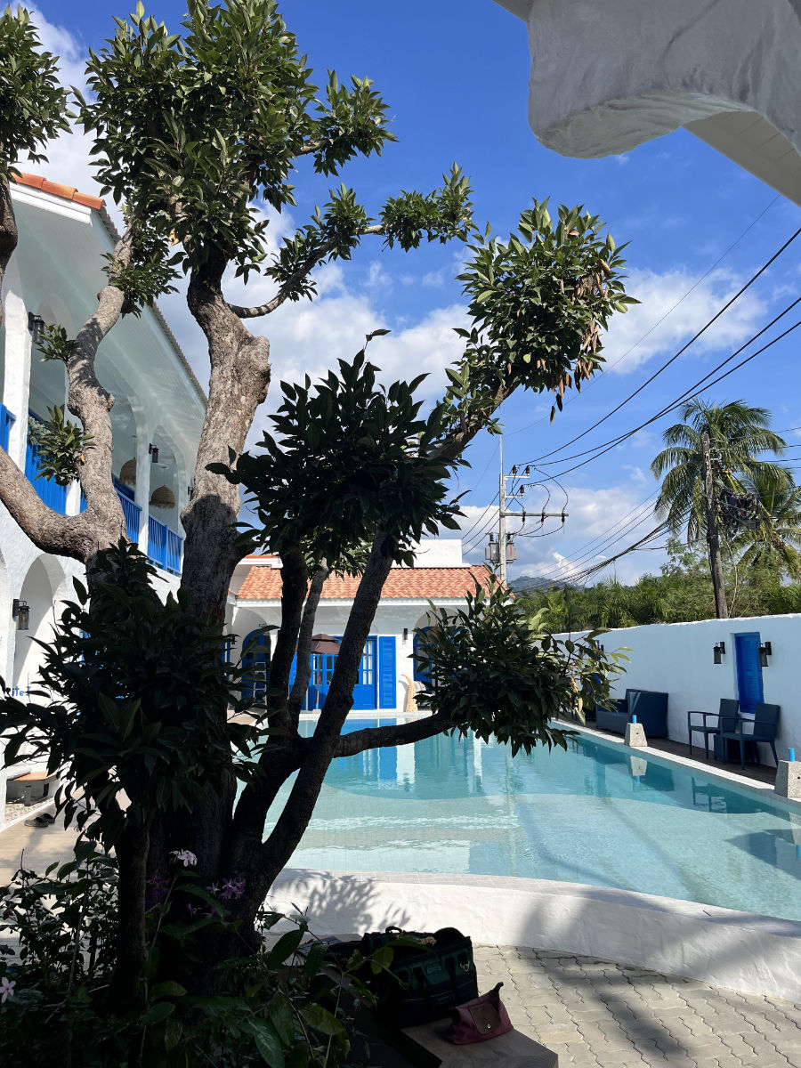 Shade by the pool